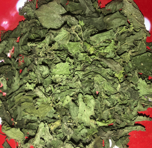 Ortie feuilles coupées Bio 20G - Urtica dioica 