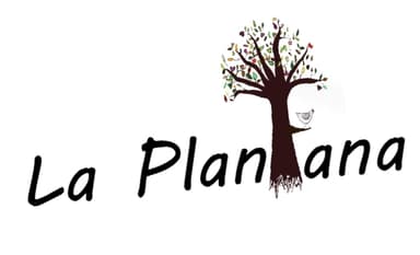Les bons planTs pour vous et votre jardin !
